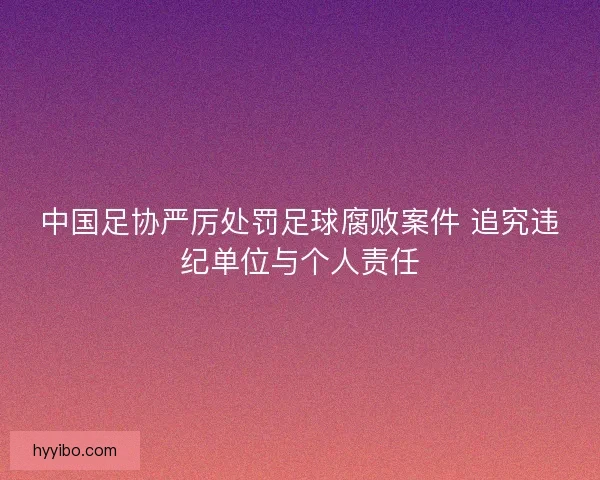 中国足协严厉处罚足球腐败案件 追究违纪单位与个人责任
