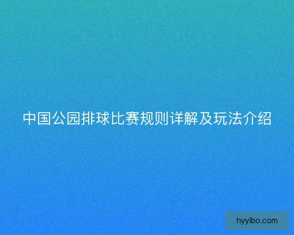 中国公园排球比赛规则详解及玩法介绍
